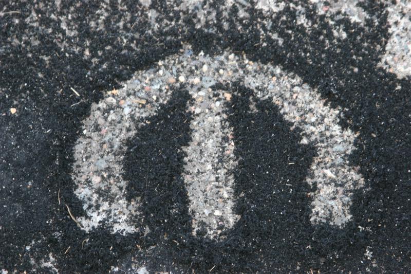 IMG_0324 (Medium).JPG